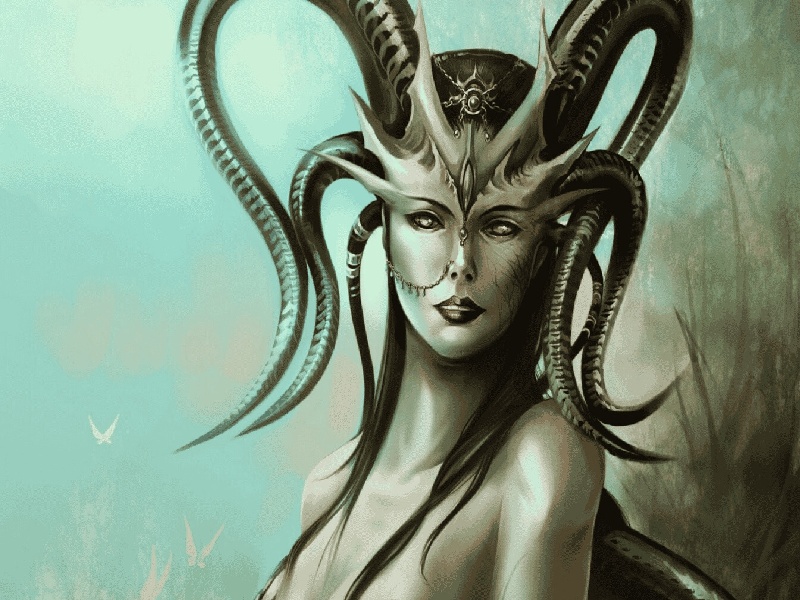 101试管婴儿(李子试管早孕期)