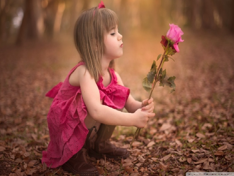 娇兰试管面膜(试管取卵指标)