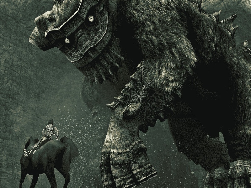 试管本子卵泡多(试管 脉动喝多久)